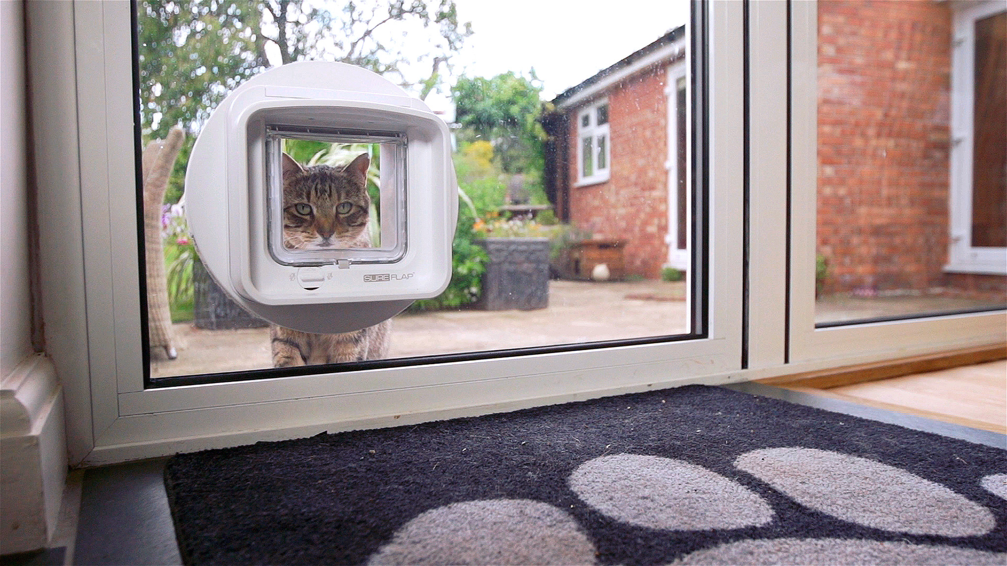 Which Style Of Cat Flap Will Work For Your Home?